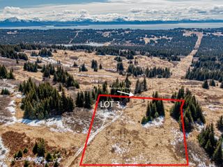 L3 Salin's Spur Road, Homer, AK 99603