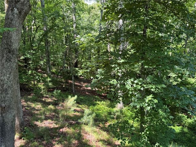 48 Spring Ridge Road NW, Kingston, GA 30145