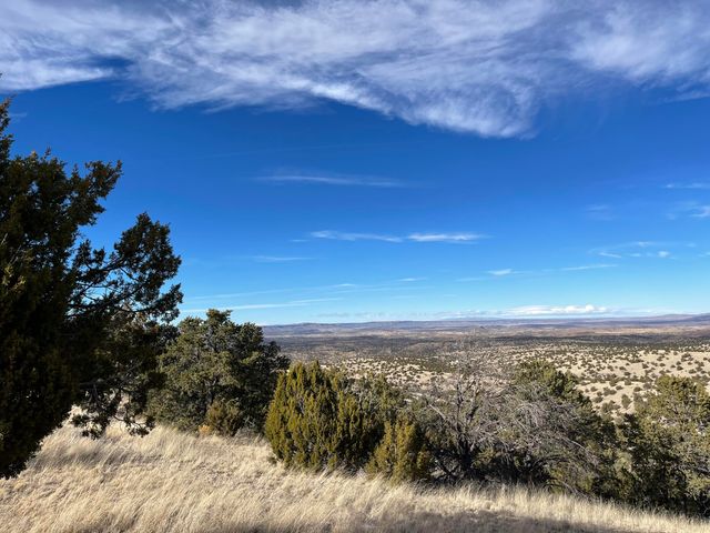 8 Overlook Way, Magdalena, NM 87825