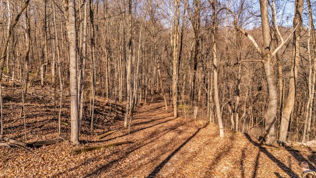 218 Forest Ridge Ct, Franklin, TN 37069