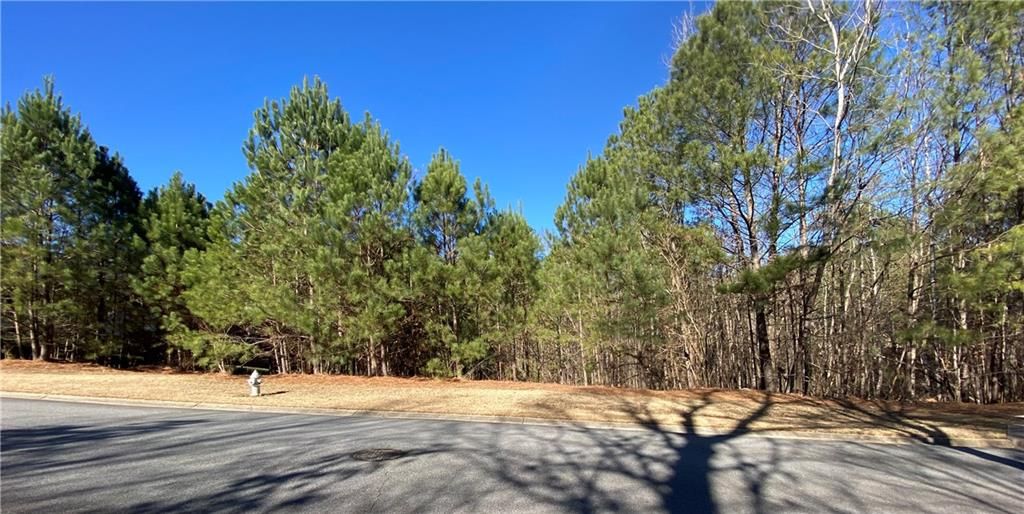 6158 Talmadge Run, Acworth, GA 30101