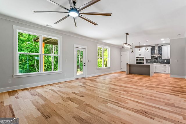 224 Galway Lane, Hampton, GA 30228