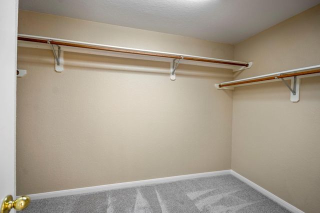 19410 Camellia Bend Circle, Spring, TX 77379