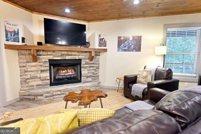 747 Matrix Lane 842, Ellijay, GA 30540