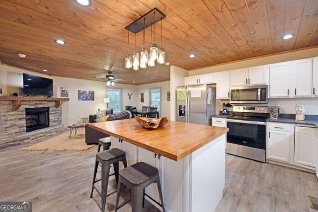 747 Matrix Lane 842, Ellijay, GA 30540