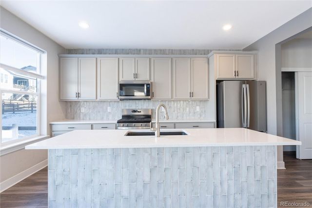 199 Simmental Loop, Castle Rock, CO 80104