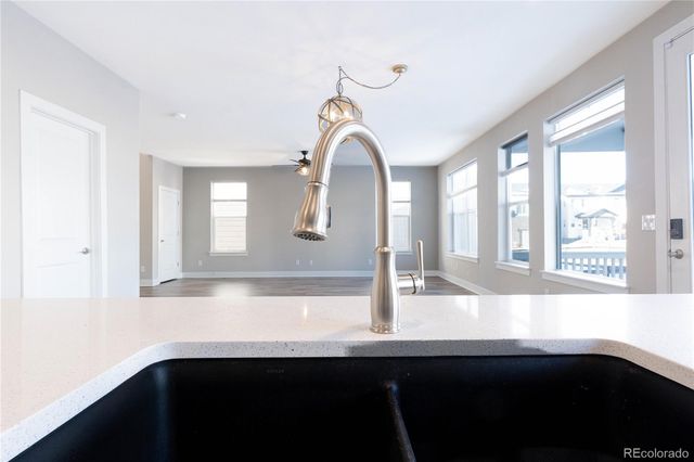 199 Simmental Loop, Castle Rock, CO 80104