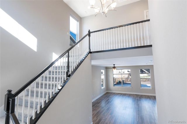 199 Simmental Loop, Castle Rock, CO 80104