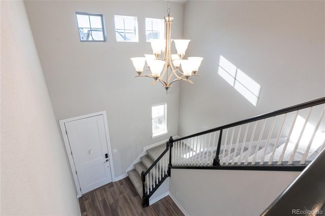 199 Simmental Loop, Castle Rock, CO 80104