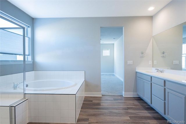 199 Simmental Loop, Castle Rock, CO 80104