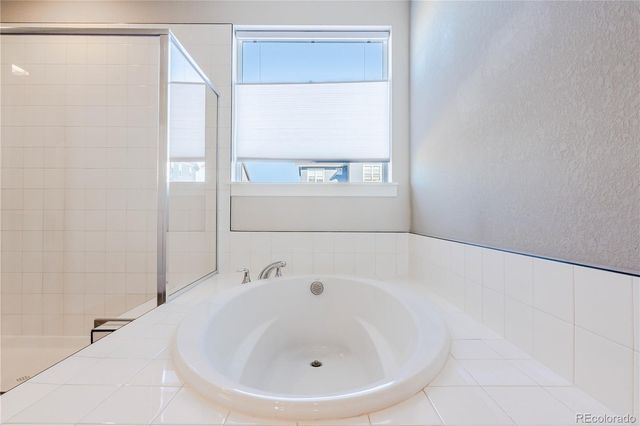 199 Simmental Loop, Castle Rock, CO 80104