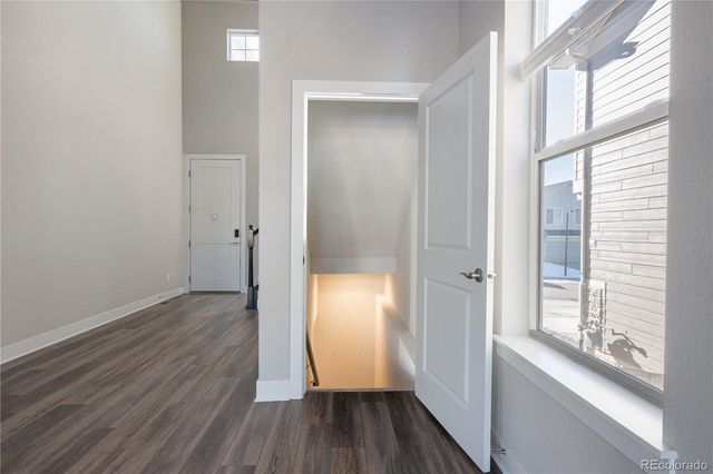 199 Simmental Loop, Castle Rock, CO 80104