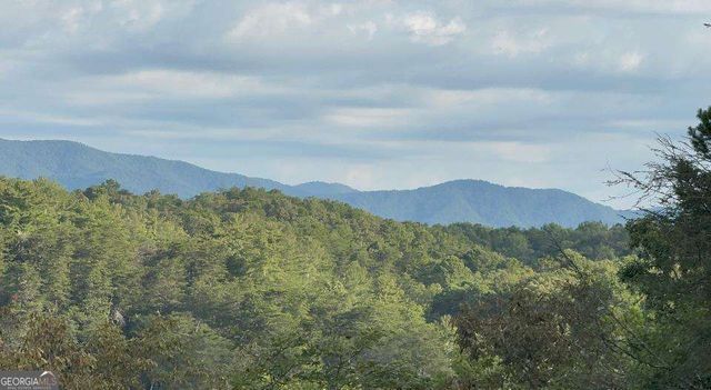 63 Granny Smith Lane 84, Ellijay, GA 30536