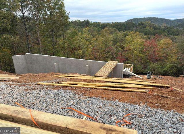 63 Granny Smith Lane 84, Ellijay, GA 30536