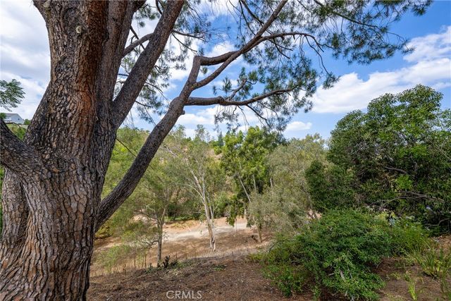 5548 E Vista del Amigo, Anaheim Hills, CA 92807