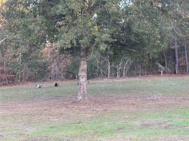 3074 S Fm 1486 Road, Montgomery, TX 77316