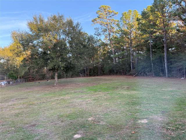 3074 S Fm 1486 Road, Montgomery, TX 77316