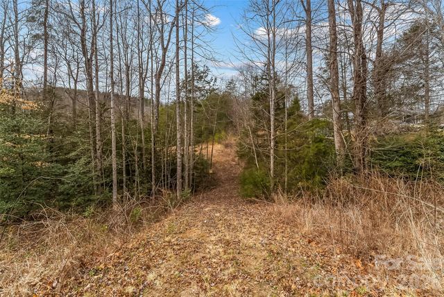 1350 Lavender Road, Old Fort, NC 28762