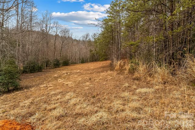 1350 Lavender Road, Old Fort, NC 28762