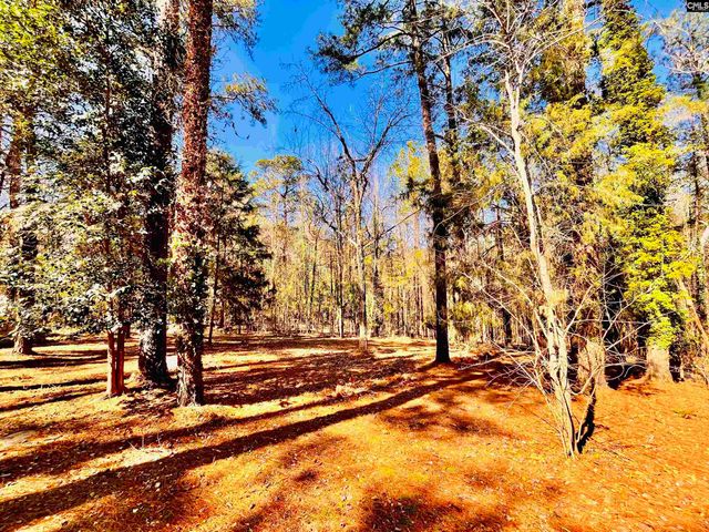 1301 Winterwood Road, Columbia, SC 29203