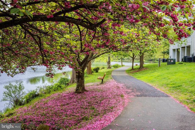 2910 BRIDGEHAMPTON CT, Falls Church, VA 22042