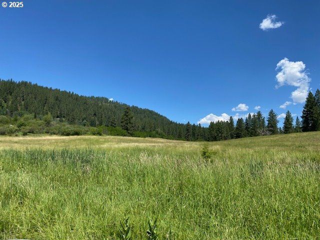 47664 RYALL Rd, Halfway, OR 97834