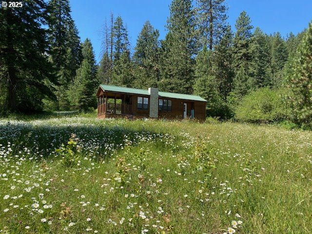 47664 RYALL Rd, Halfway, OR 97834