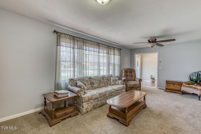 609 Hollyhill Road, Johnson City, TN 37604