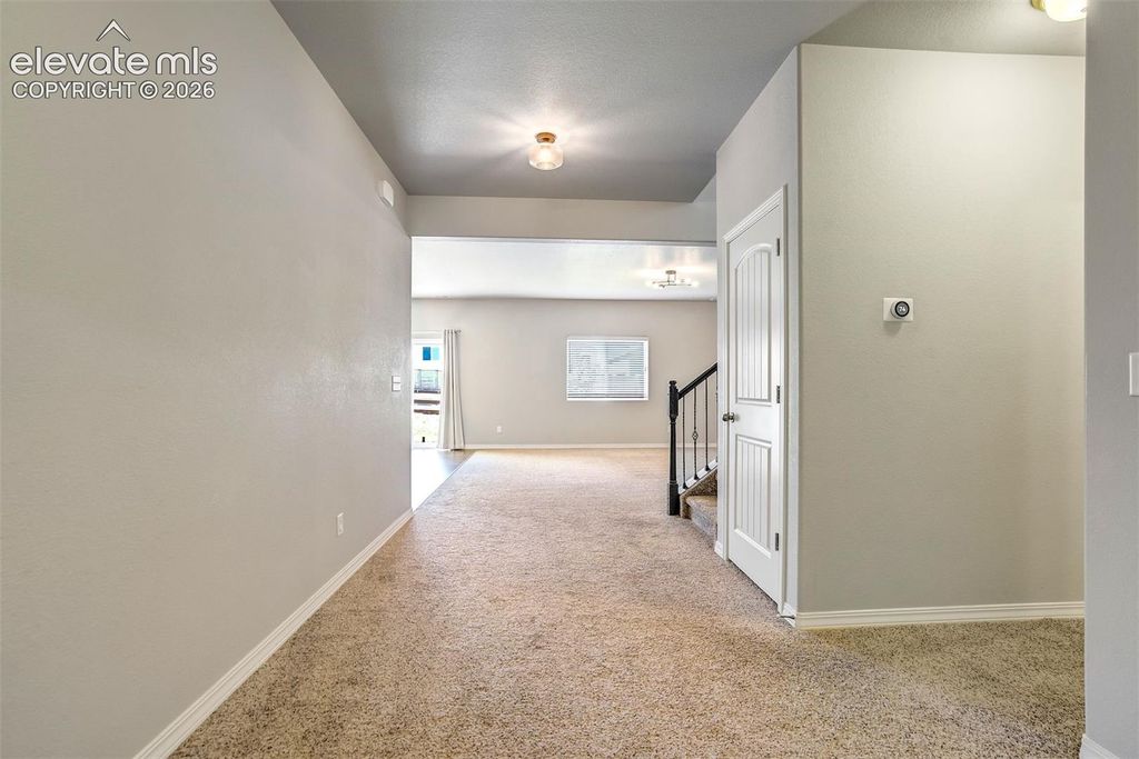 6461 Stonefly Drive, Colorado Springs, CO 80924 — photo 4