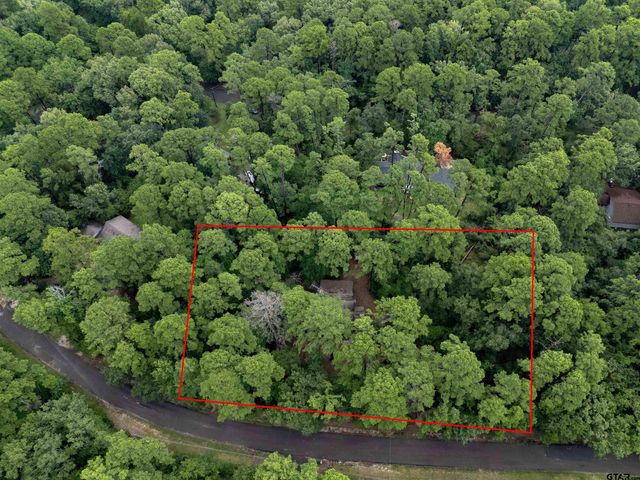 1161 Valleywood Trail, Holly Lake Ranch, TX 75765
