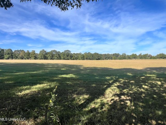 306 Cedar Stone Court, Florence, MS 39073