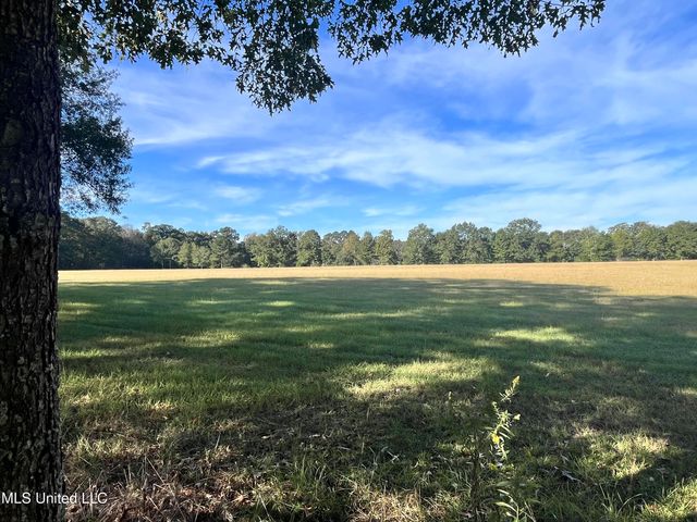 306 Cedar Stone Court, Florence, MS 39073