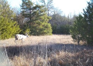 80048 County Road 24200, Roxton, TX 75477