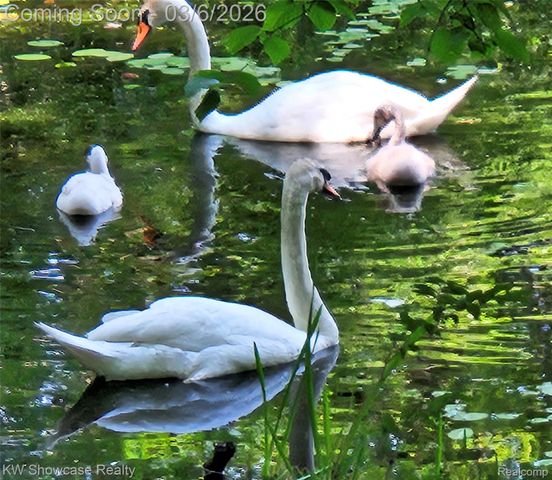 2031 Saint Clair Drive, Highland Charter Township, MI 48357