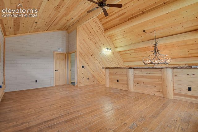 35 Shaw Lane, Divide, CO 80814
