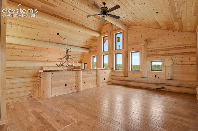 35 Shaw Lane, Divide, CO 80814