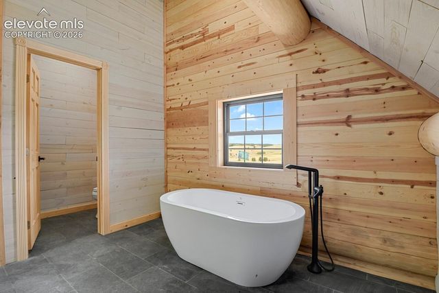 35 Shaw Lane, Divide, CO 80814