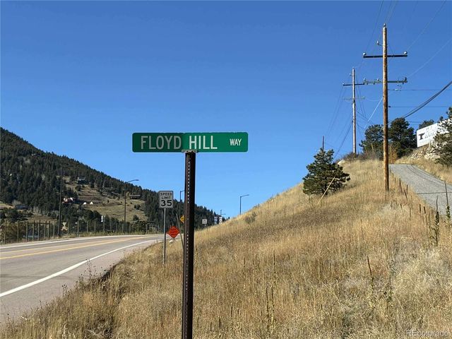 132 Floyd Hill Way, Evergreen, CO 80439