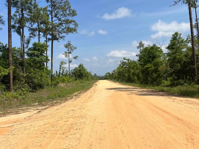 TBD Holly Springs Avenue, Alford, FL 32420