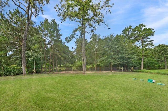 15215 Butterfly Lane, Plantersville, TX 77363