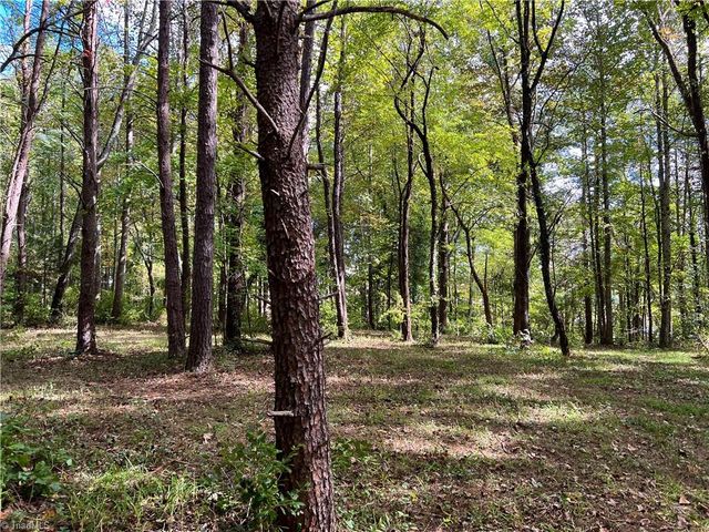 00 Jackson Road 8.64 Ac, Mount Airy, NC 27030