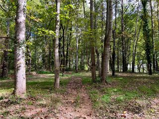00 Jackson Road 8.64 Ac, Mount Airy, NC 27030
