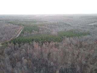 0 Hurricane Creek Road, Stewart, TN 37175