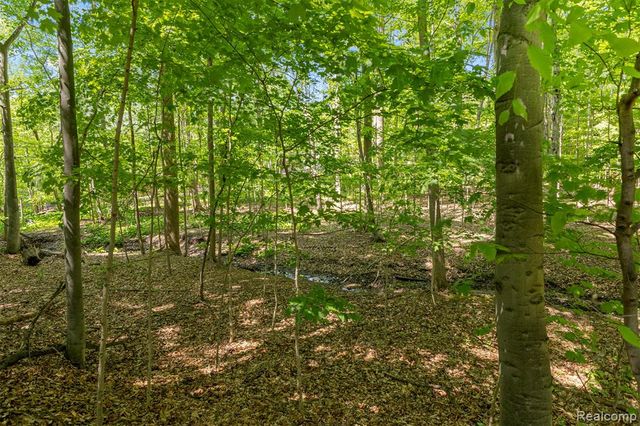21257 Woodfarm Drive, Northville, MI 48167