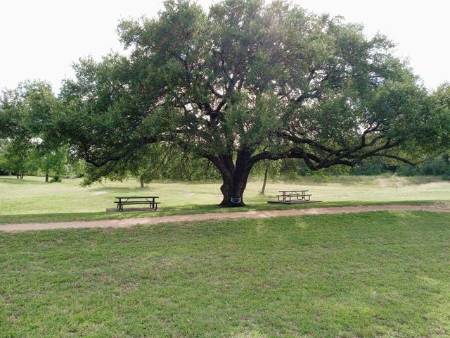 509 Paso Fino TRL, Cedar Park, TX 78613