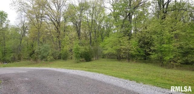 Lot 80 & 81 Saluki Way, Goreville, IL 62939