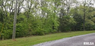 Lot 80 & 81 Saluki Way, Goreville, IL 62939