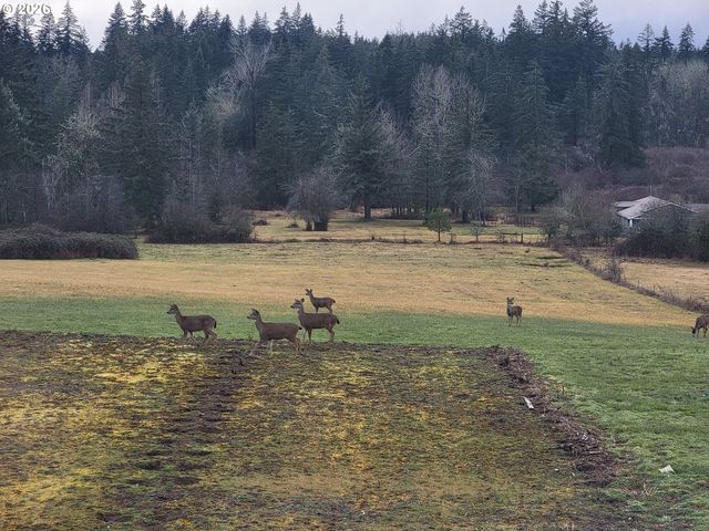 12885 Se 242ND Ave, Damascus, OR 97089