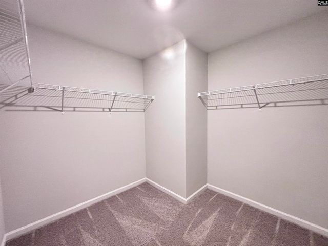 433 Eclipse Lane, Elgin, SC 29045