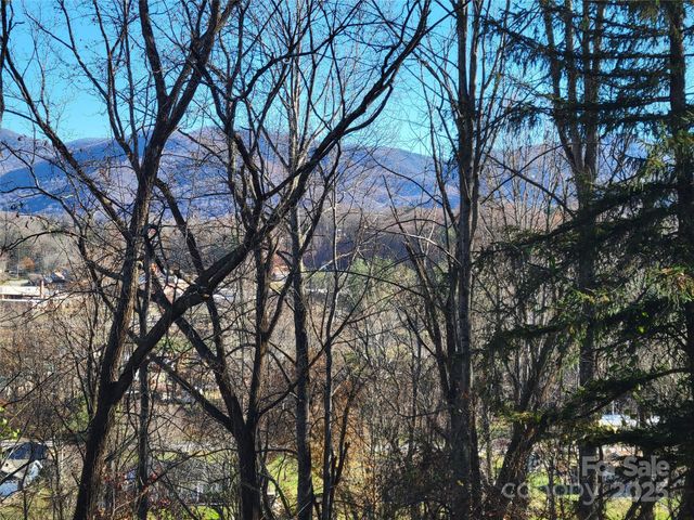 0 Blink Bonny Drive B9, Waynesville, NC 28786